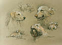 Our three dogs by Barrie Linklater