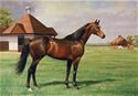 Stallion MTOTO by Barrie Linklater